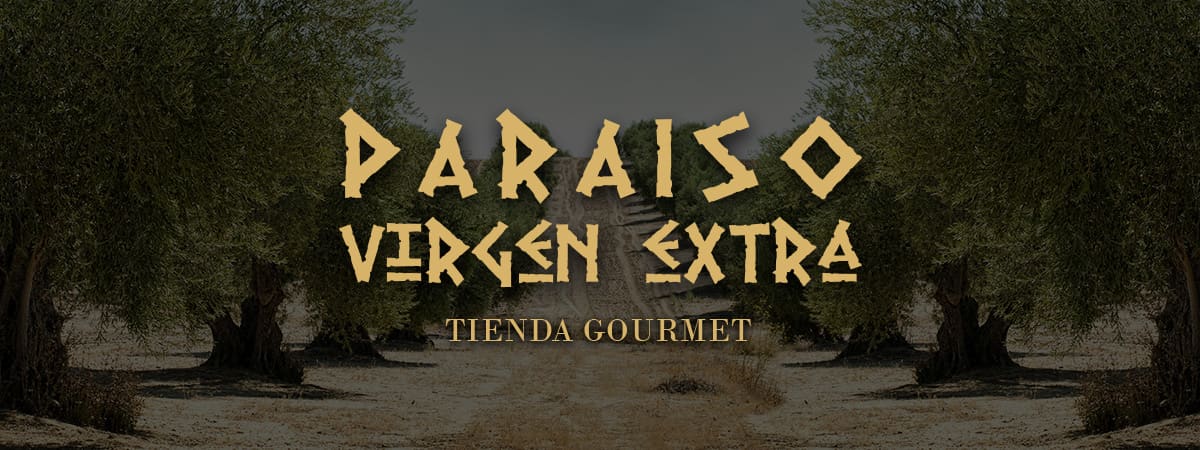 BANNER-PRINCIPAL-PARAISO-VIRGEN-EXTRA